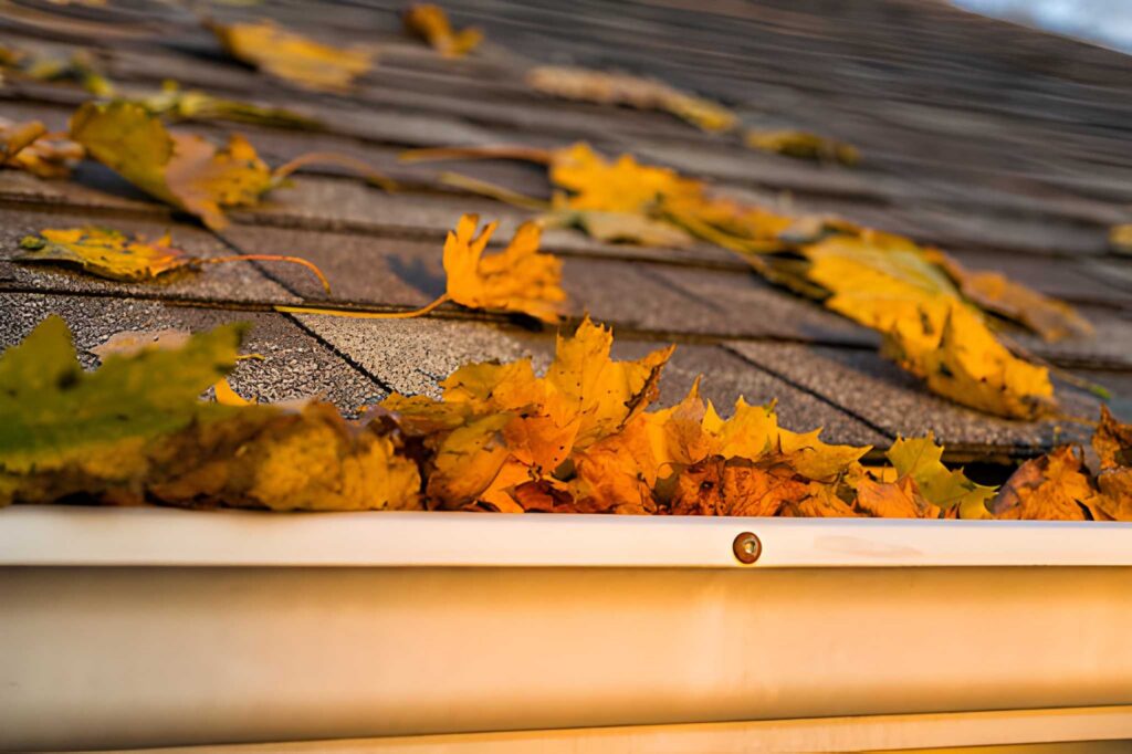 gutter damage Davenport