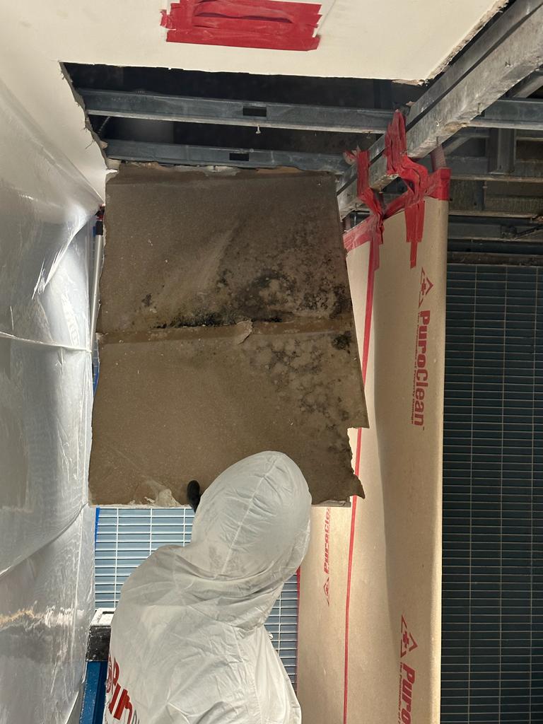 Removing bathroom ceiling mold.