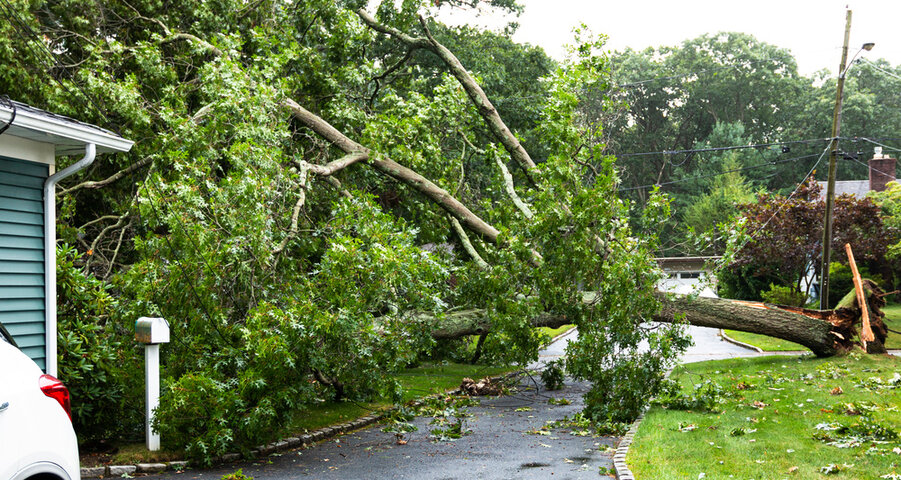 Fallen tree on home after summer storms.