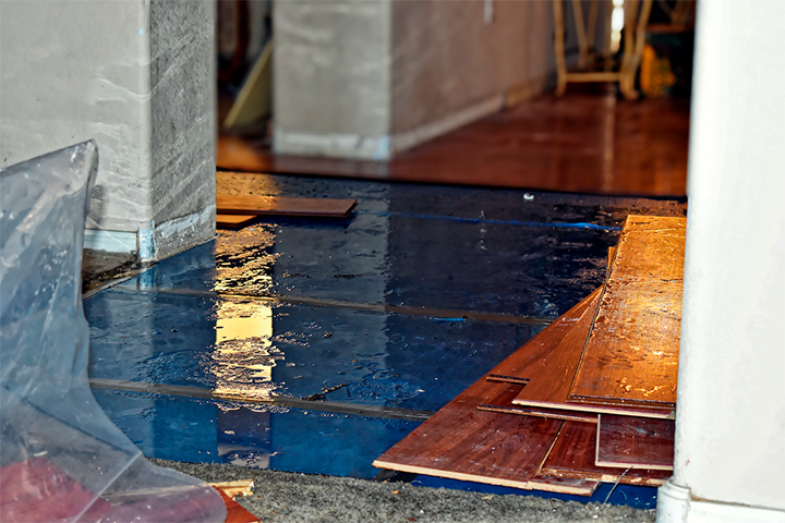 Water Damage Restoration
