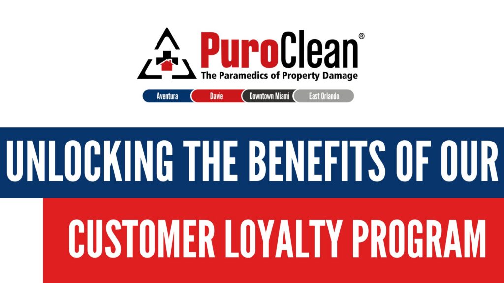 Customer Loyalty Program