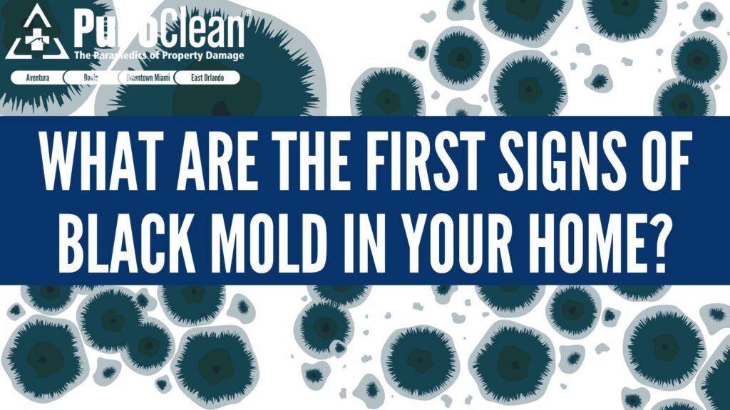 Mold in Home