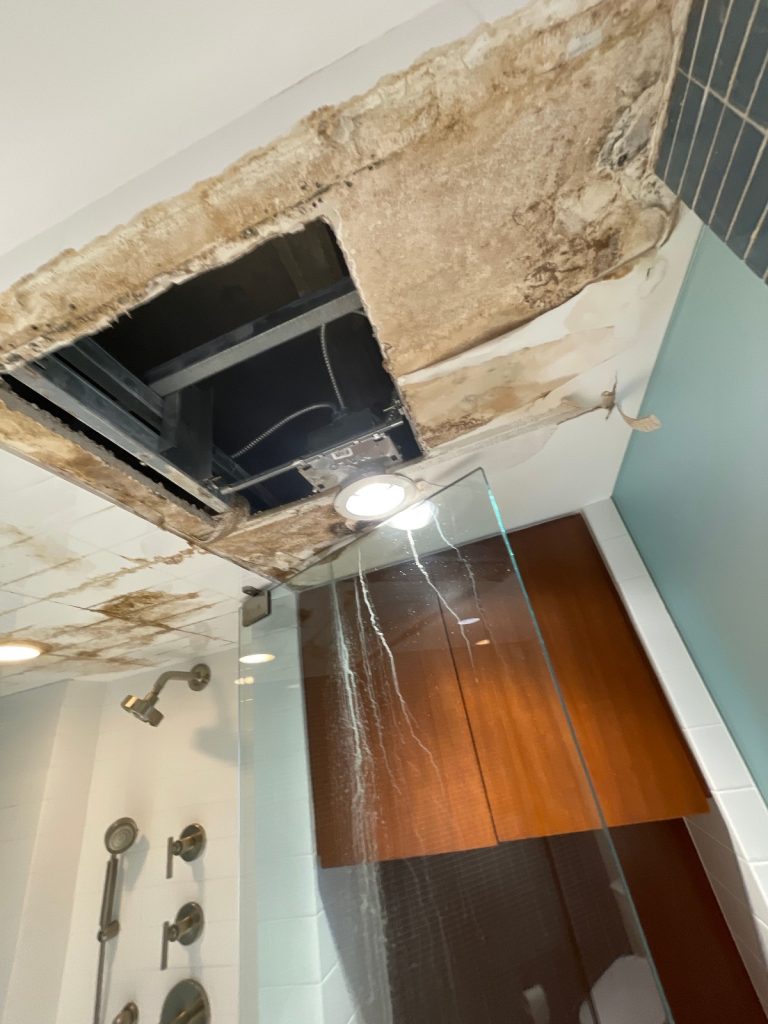 Bathroom ceiling mold.