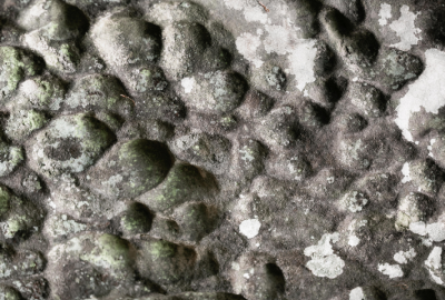 mold