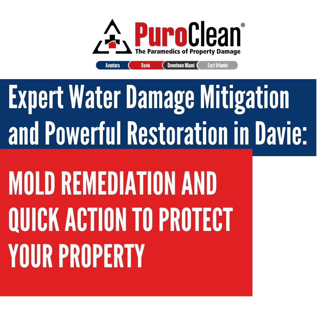 Water Damage Mitigation and Restoration in Davie: Mold Remediation and Quick Action to Protect Your Property