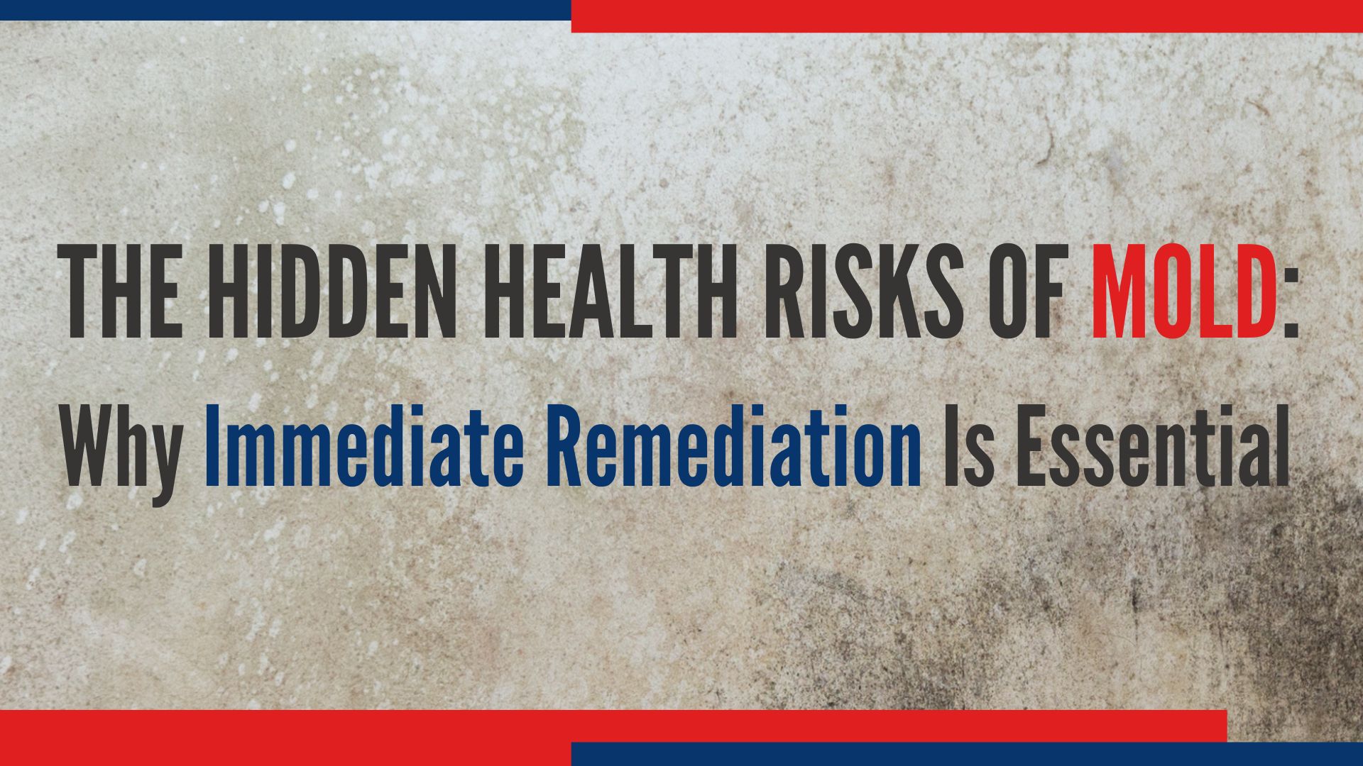 Health Problems that can be Caused by Mold.