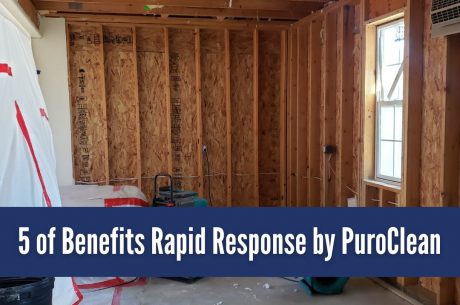 5 Proven Benefits of Rapid Response by PuroClean of Davie