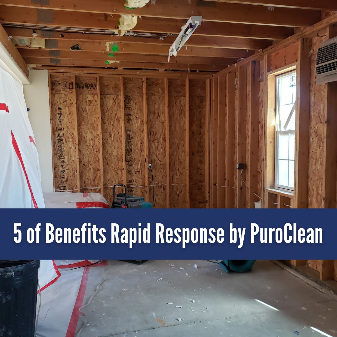 5 Proven Benefits of Rapid Response by PuroClean of Davie
