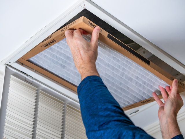 A homeowner changes the air filter to prevent mold growth in air ducts.