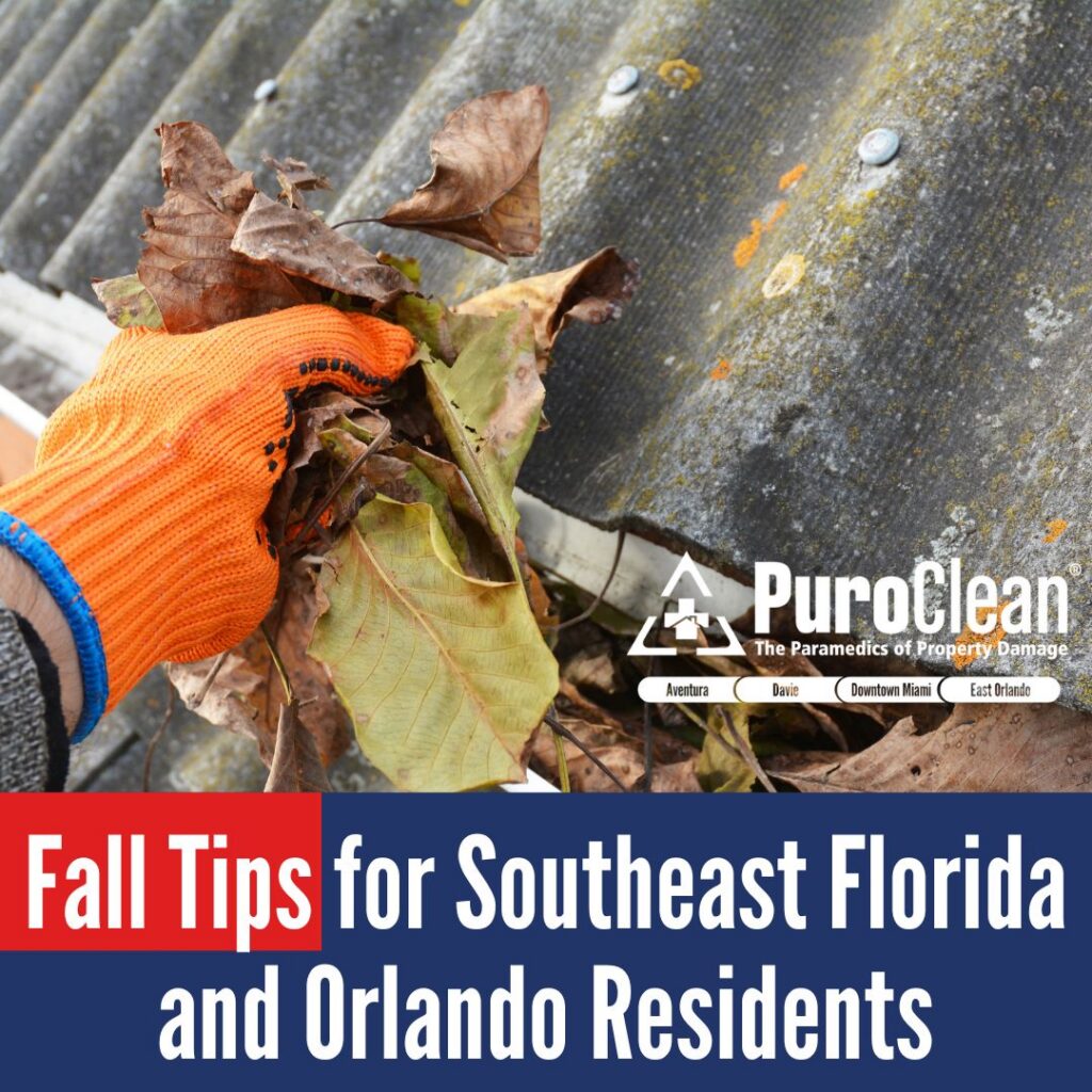 fall tips