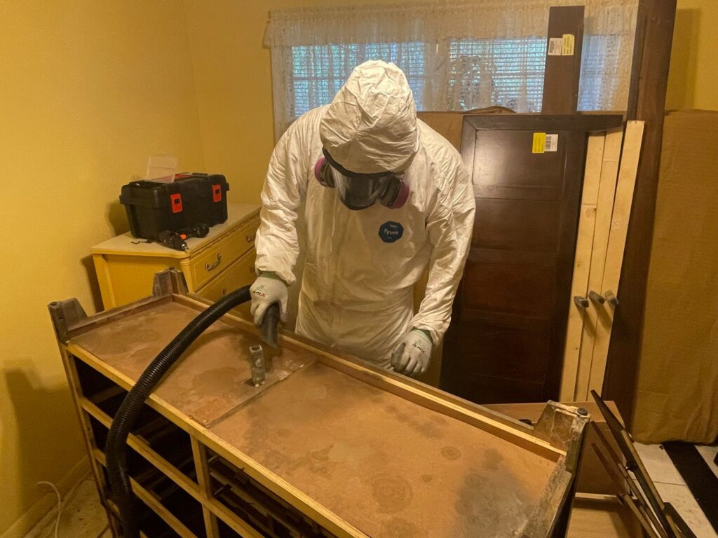 Mold Remediation