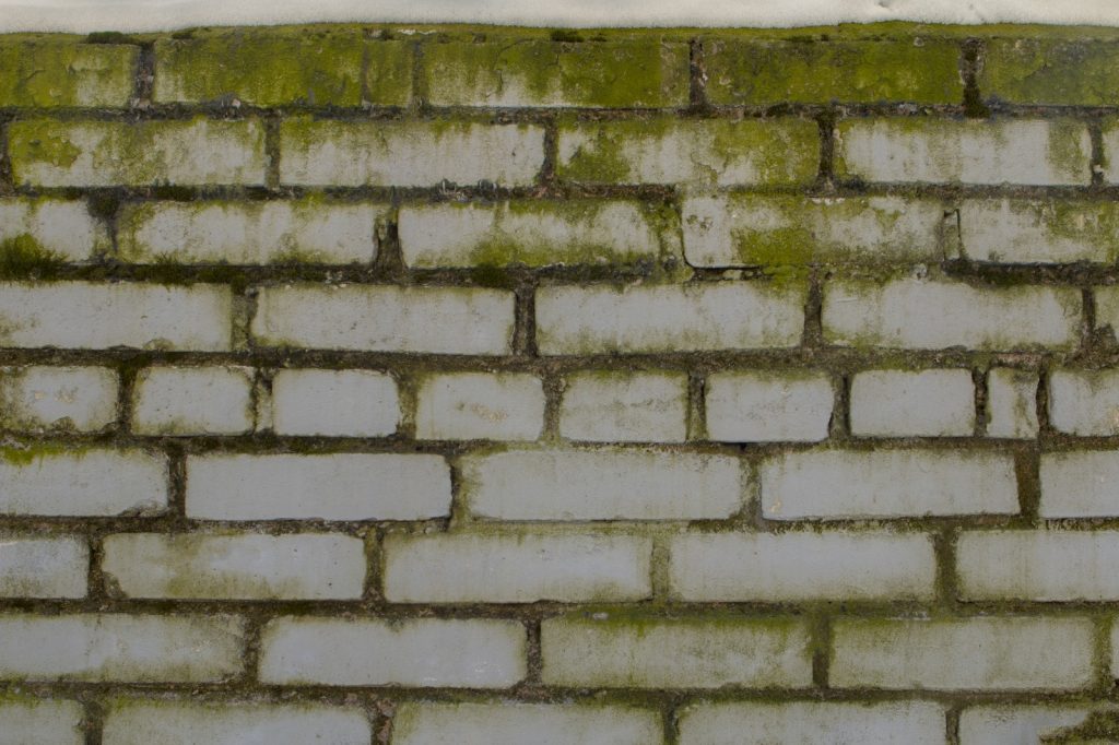 It is difficult to learn how to remove black mold stains from drywall