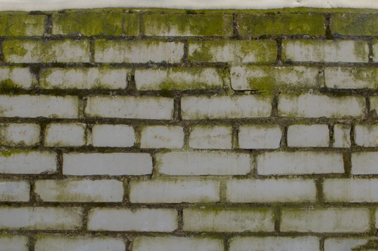 How to remove black mold from drywall PuroClean of Deerfield Beach