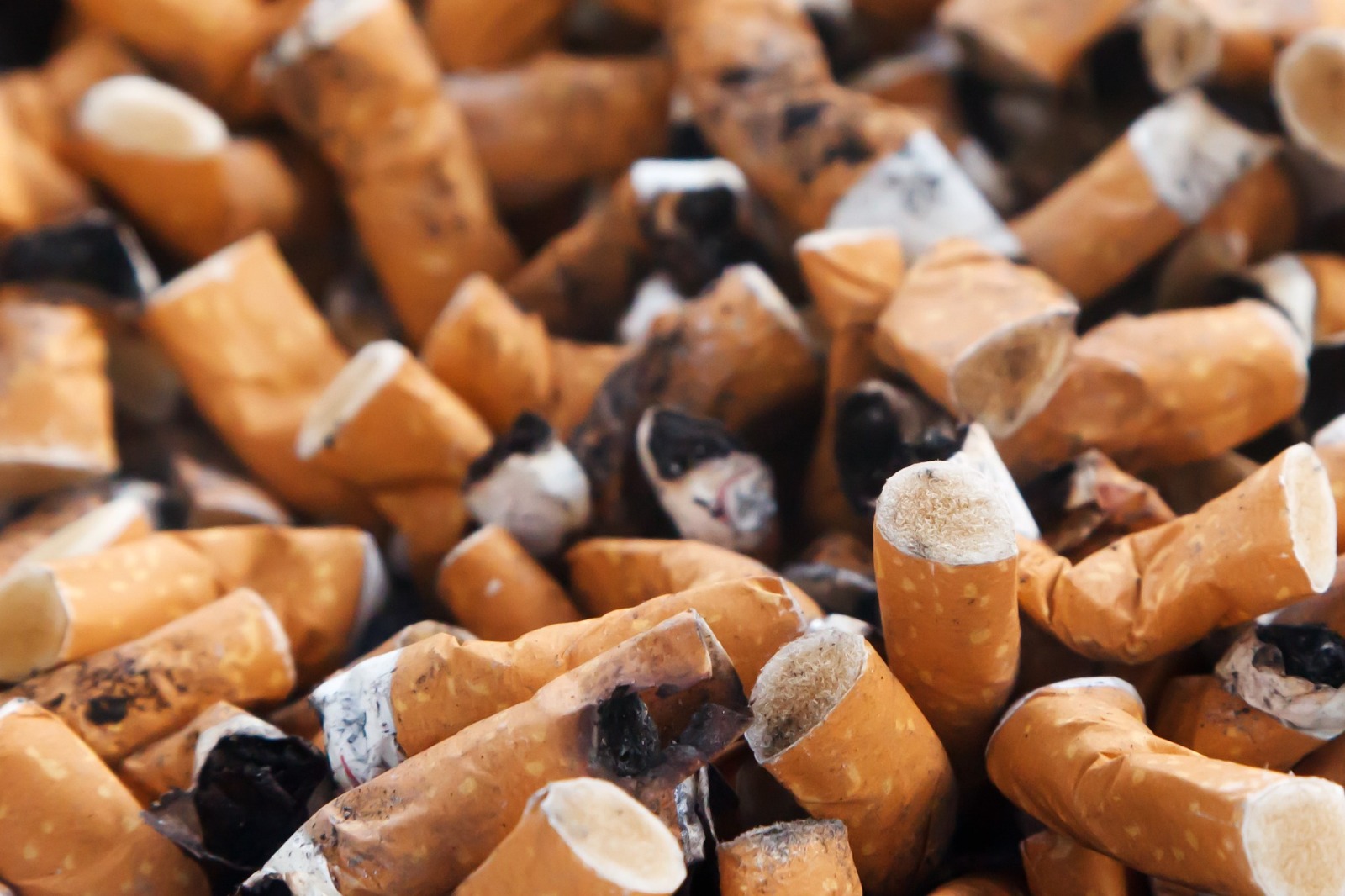 Deerfield Beach: how to remediate smoke odor coming from our neighbor’s apartment?