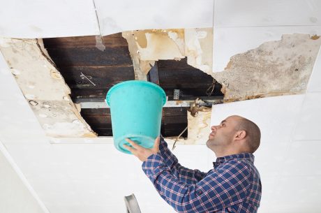 Identifying leaks to prevent mold growth.