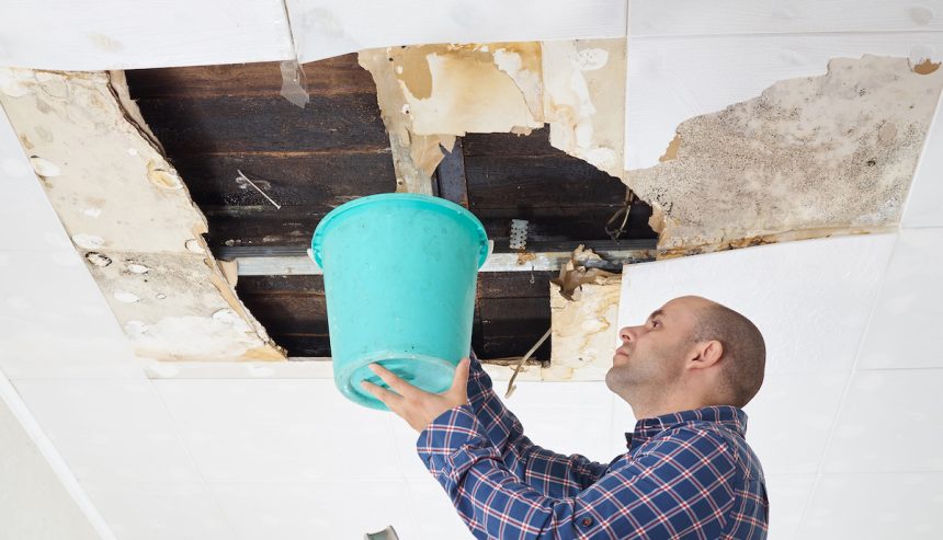 Identifying leaks to prevent mold growth.