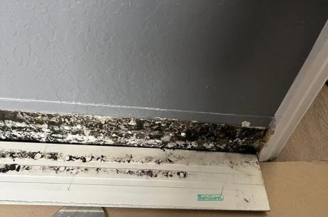 Mold behind baseboard, caused by a leak in Deerfield Beach, Florida.