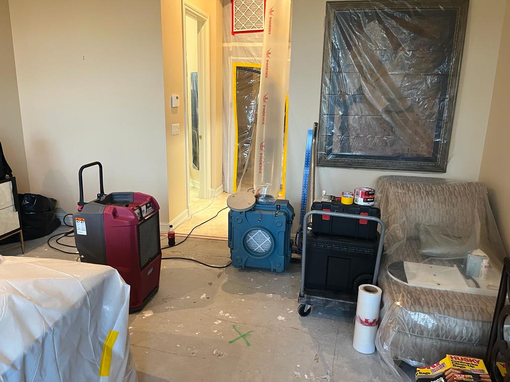 Saving the Day with Expert Mold Removal company in Plantation