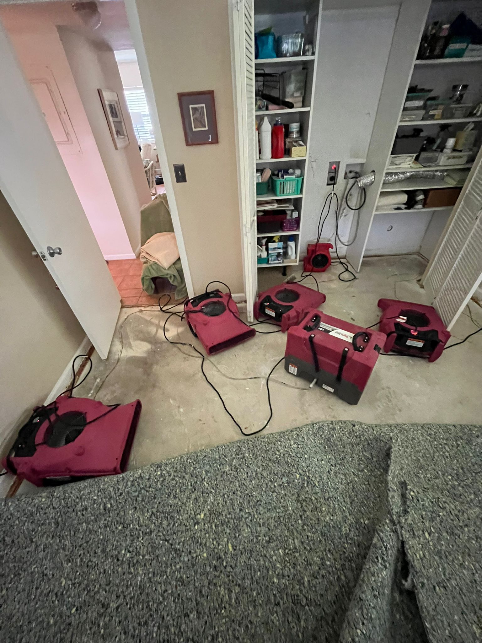 Restoring Comfort: A Tale of Water Damage Recovery in Boca Raton