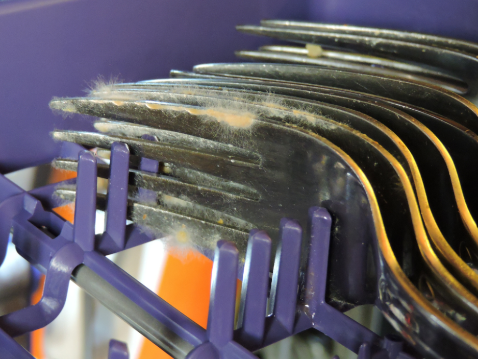  Mold in Dishwasher