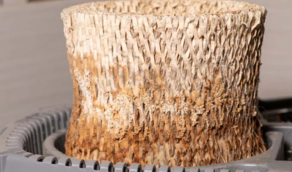 How to Get Rid of Mold from a Humidifier