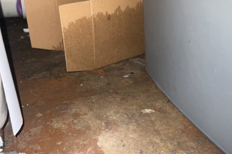 Signs of Water Damage: