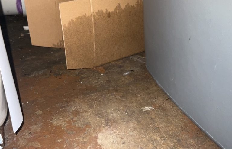 Signs of Water Damage: