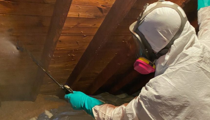 Equipment for Mold Removal