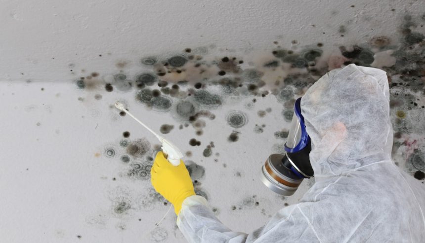 mold