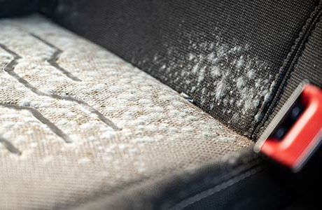 How To Remove Mold from Your Car