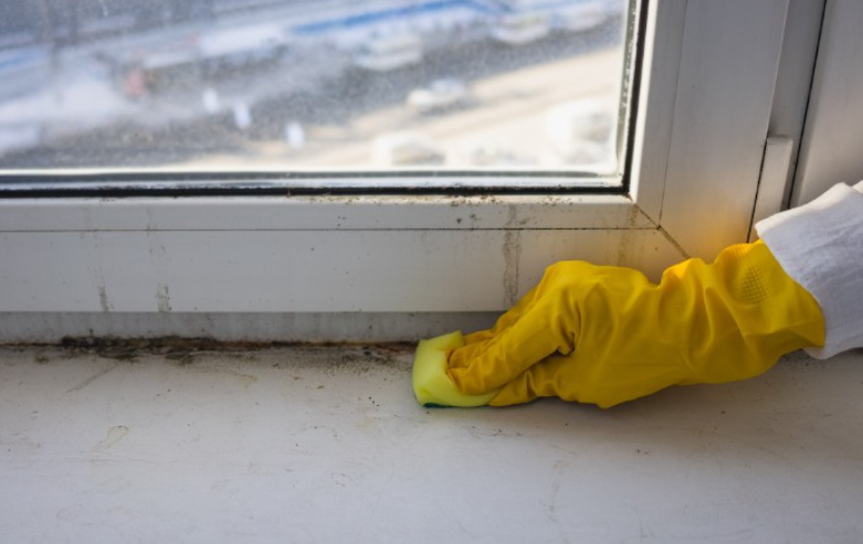 How to Prevent and Remove Mold on Windows