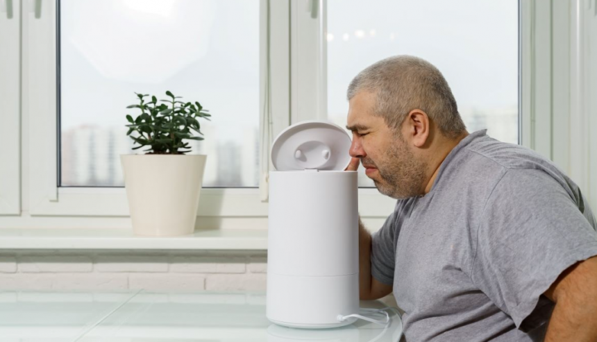 How to Get Rid of Mold from a Humidifier