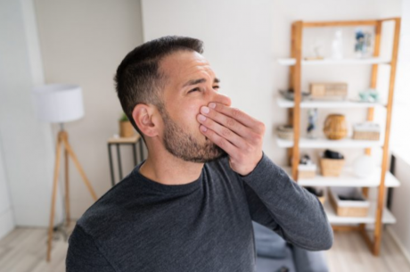 How to Get Rid of Dead Animal Smell in Your Home