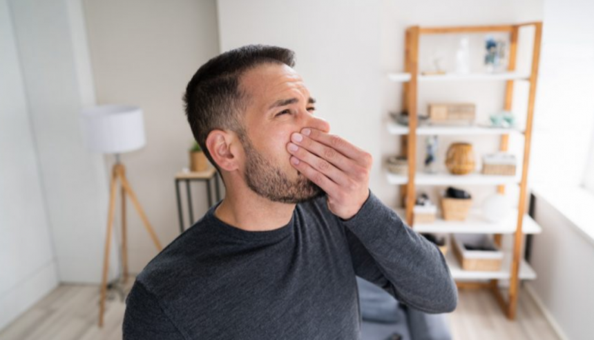 How to Get Rid of Dead Animal Smell in Your Home