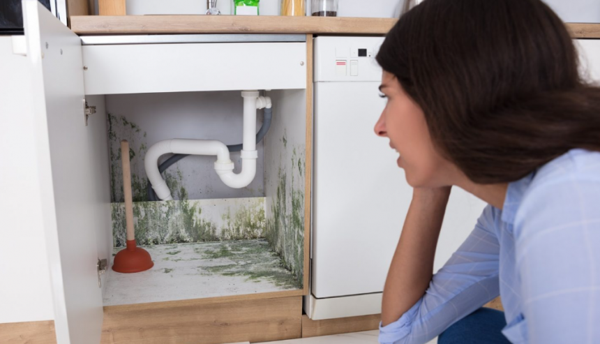 How to Remove Mold From Kitchen Cabinets