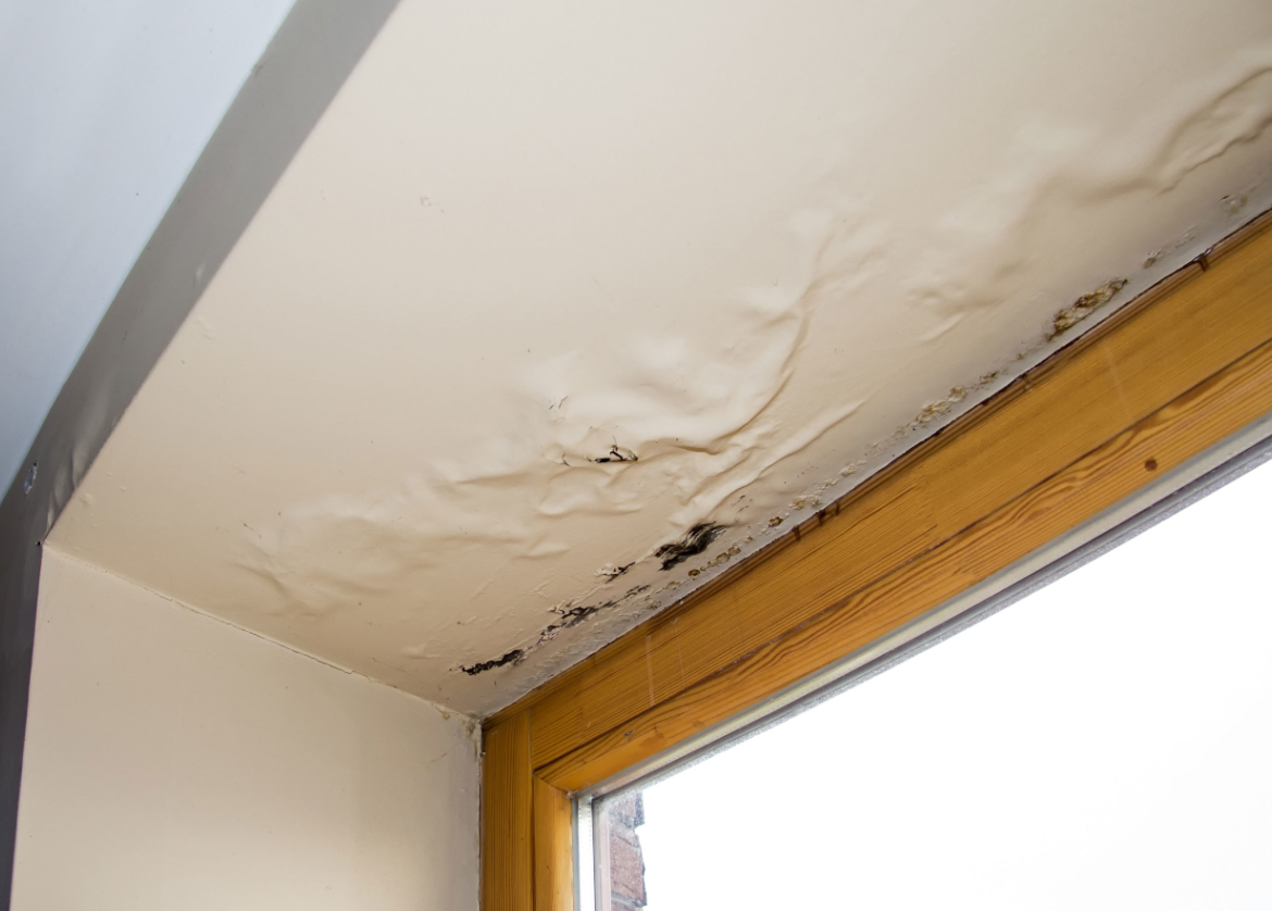 How to Prevent and Fix Roof Leaks in a Commercial Property