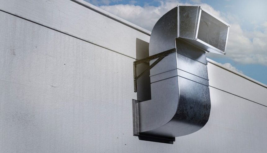 What to Do if You Have Mold in Your Air Ducts