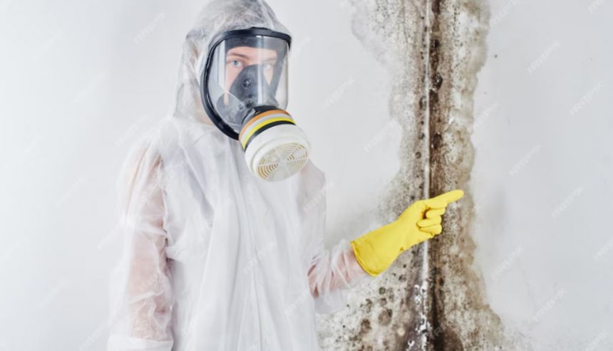 Quality Mold Removal and Remediation in Jersey City