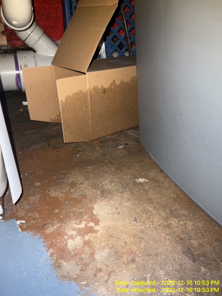 Signs of Water Damage: