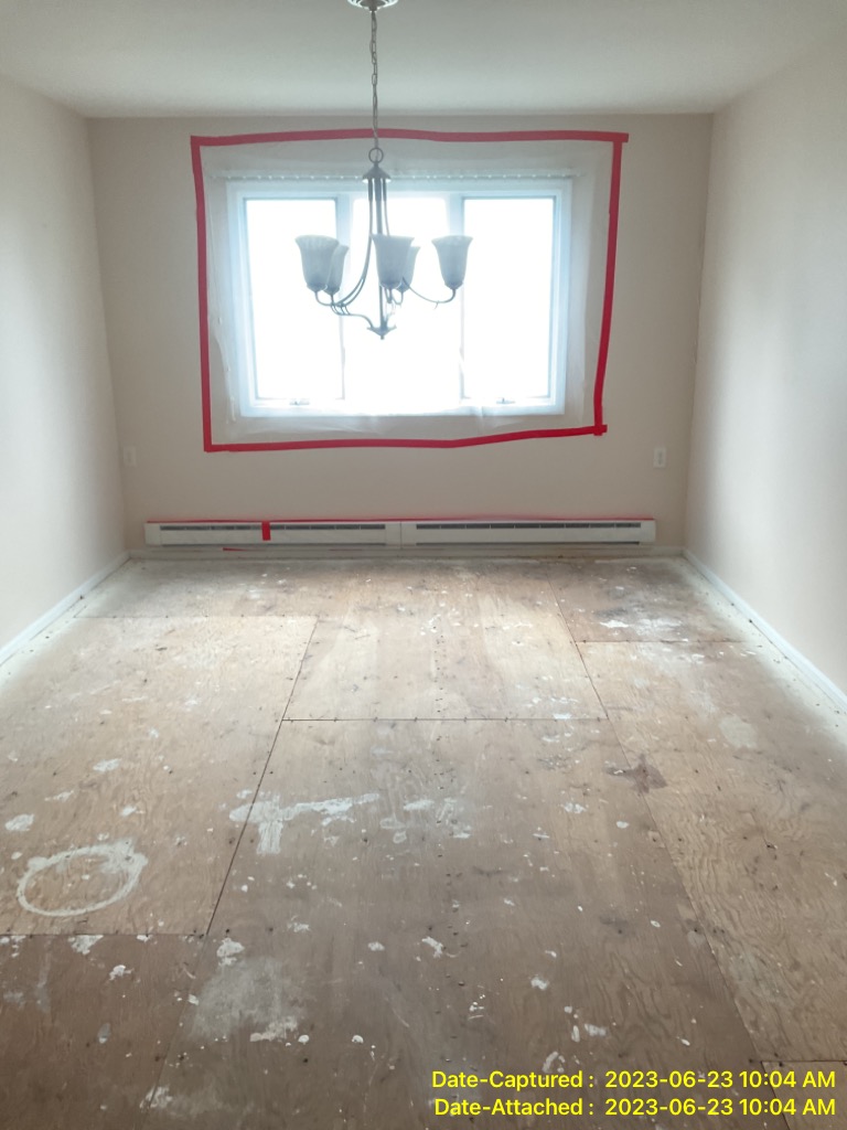 Mold Damage