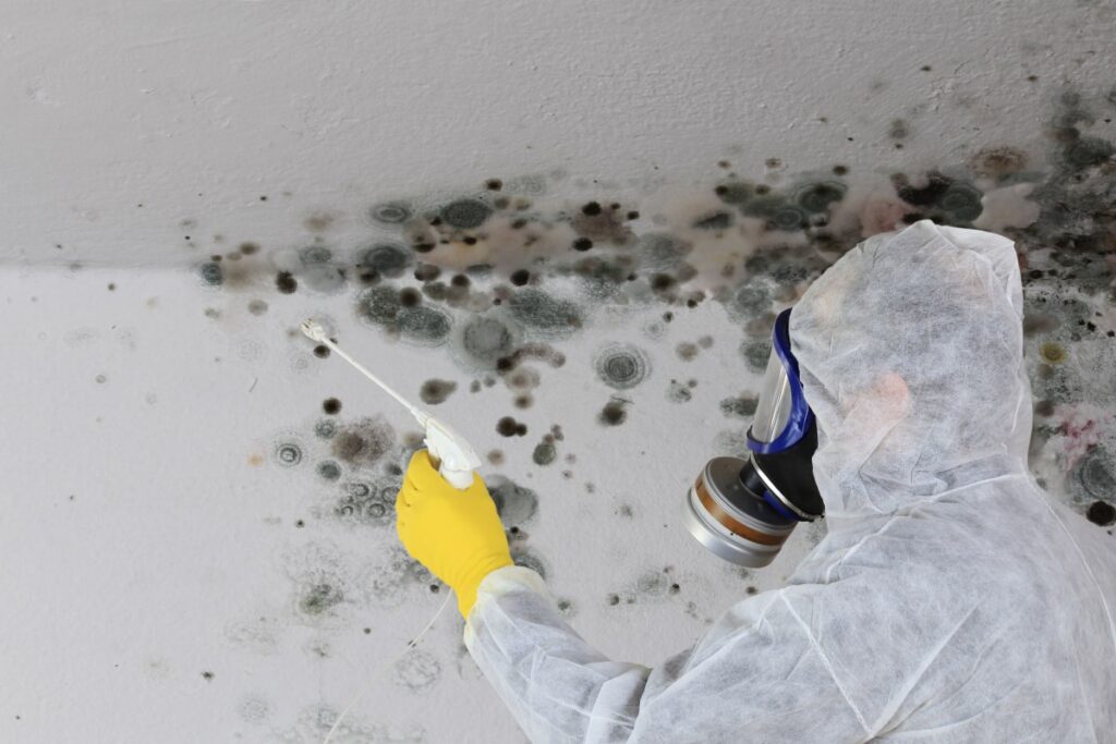 mold