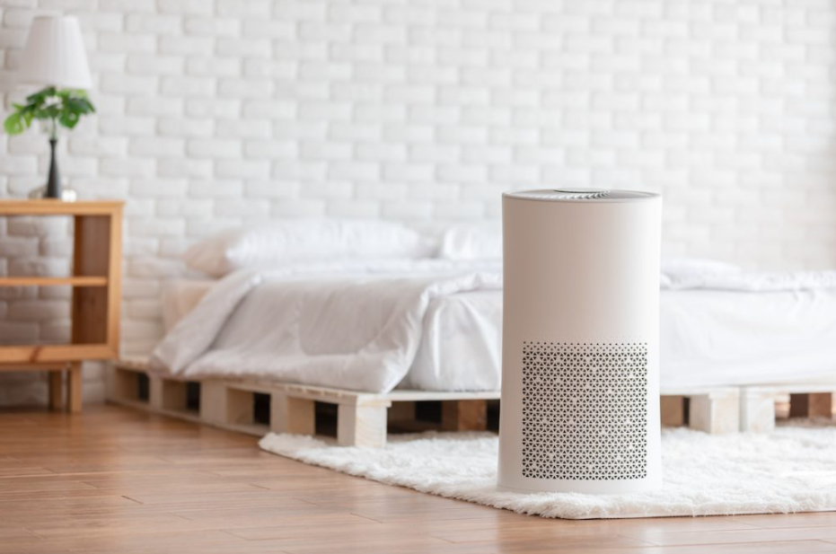 Major Differences Between Dehumidifier vs Air Purifier