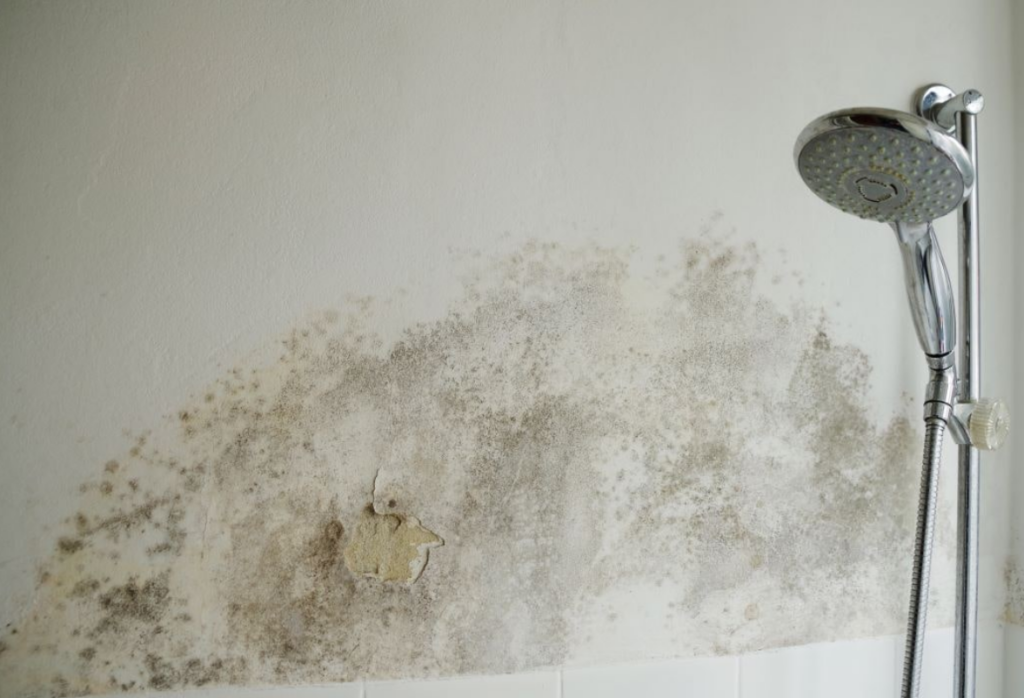 How to Remove Mold or Mildew from Bathroom Walls