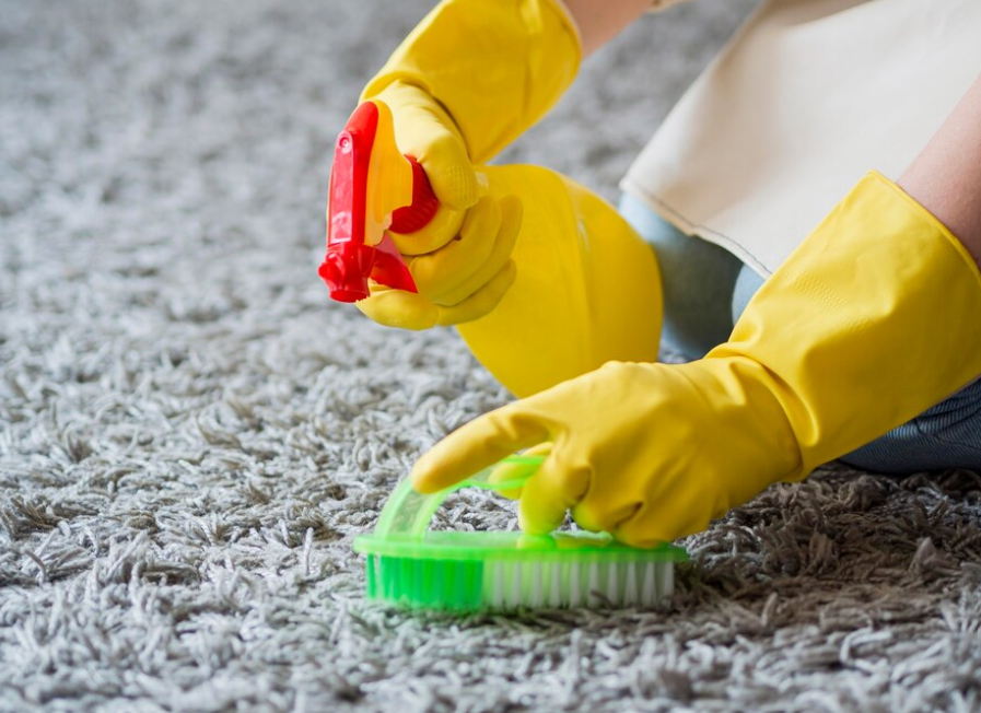 How To Get Mildew Smell Out Of Carpet