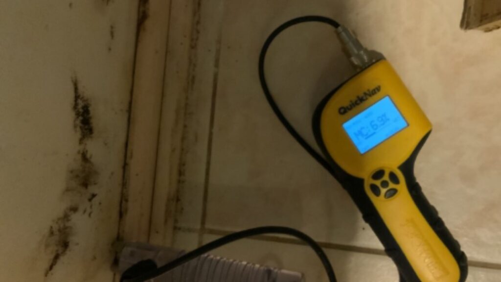 Mold Removal vs. Remediation in House: Differences and Similarities