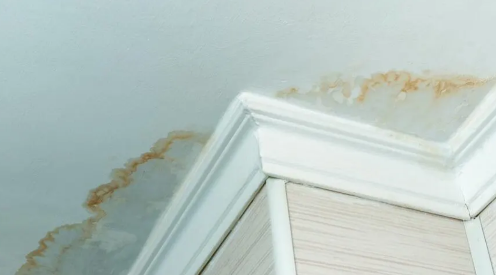 Water Stains on Ceiling: Causes of Water Stains and How to Fix it