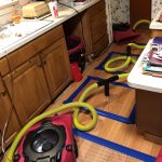 Water Damage Mitigation. Wet Hardwood Floor