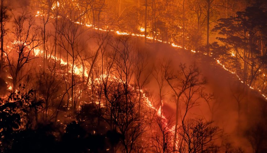 climate change wildfire