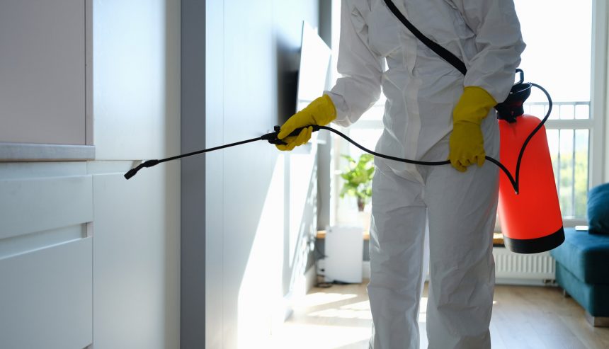 mold remediation