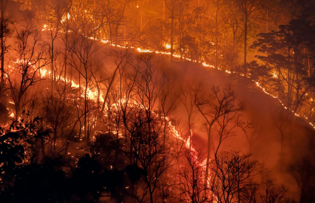 climate change wildfire